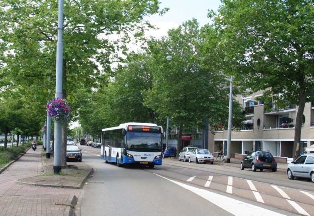Diemen hakt bomen om