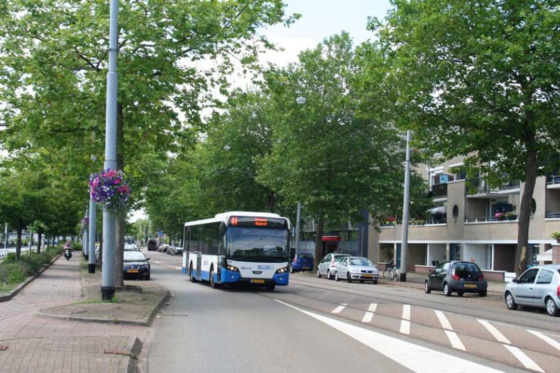 Diemen hakt bomen om