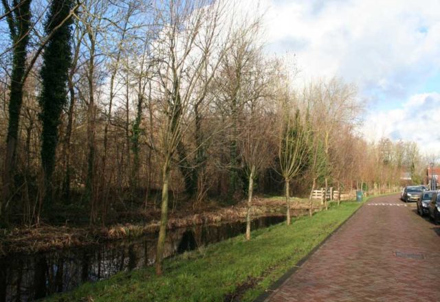 Spoorzicht Diemen