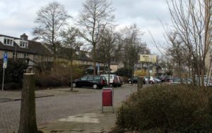 Snoeien Diemen Noord