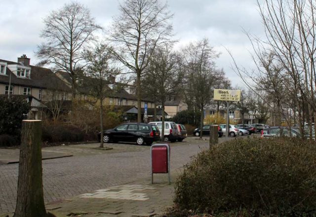 Snoeien Diemen Noord