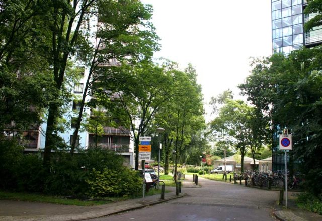 verdachte