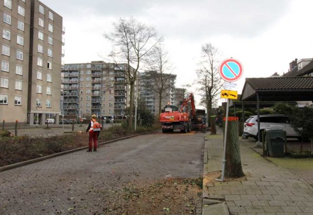 Vogelweide