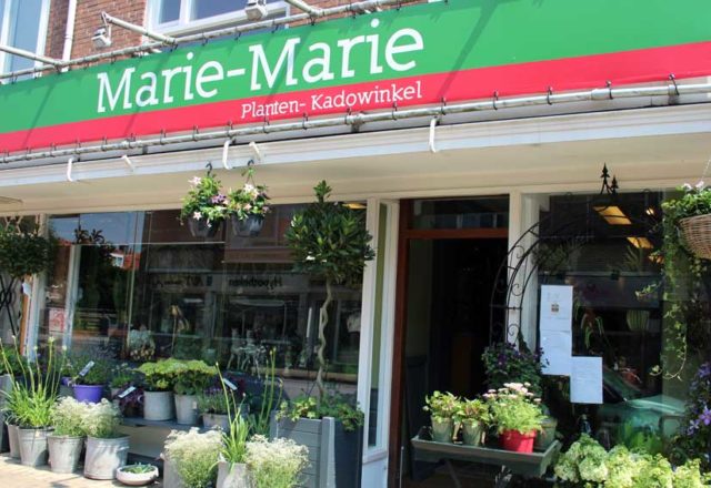 kado winkel