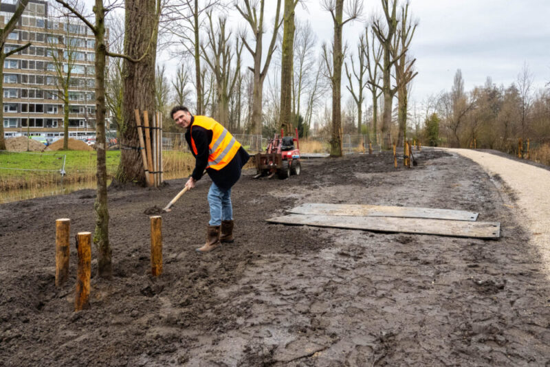 Diemen plant 1000 nieuwe bomen in vier jaar tijd